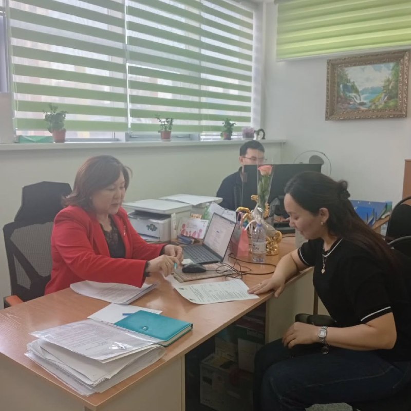 The Civil Center for NGOs of the Zhetysu region provides regular online and offline consultations for representatives of non-governmental organizations.