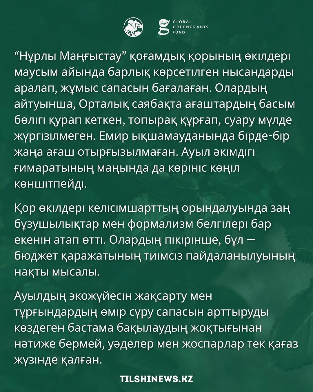 На проект по озеленению Батырского аула было выделено 5 миллионов тенге, 3 миллиона получил победитель, однако 80% деревьев погибло.