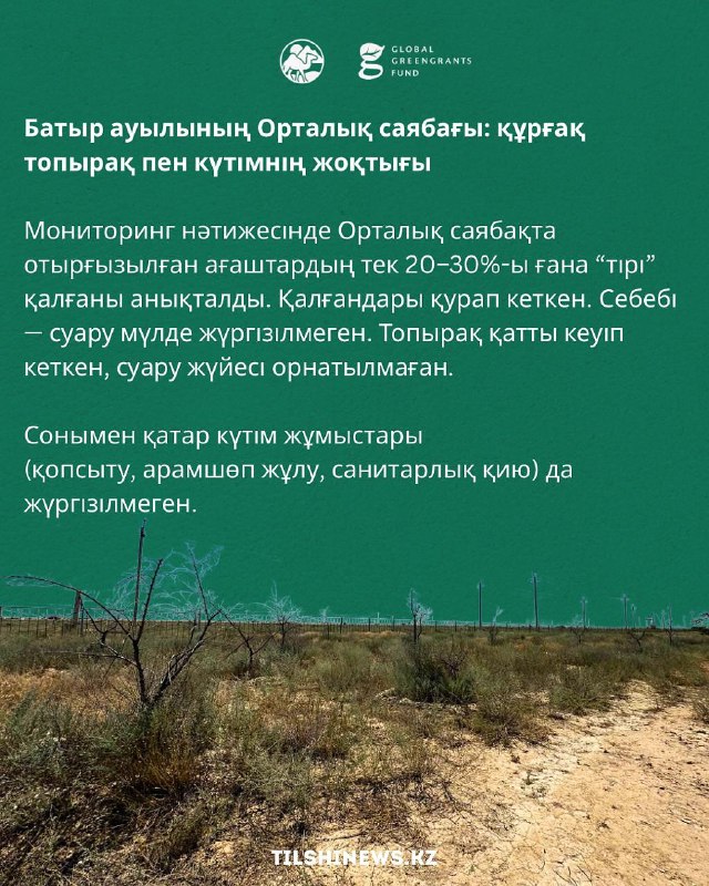 Результаты озеленения общественных пространств в селе Батыр Мангистауской области оставляют желать лучшего.