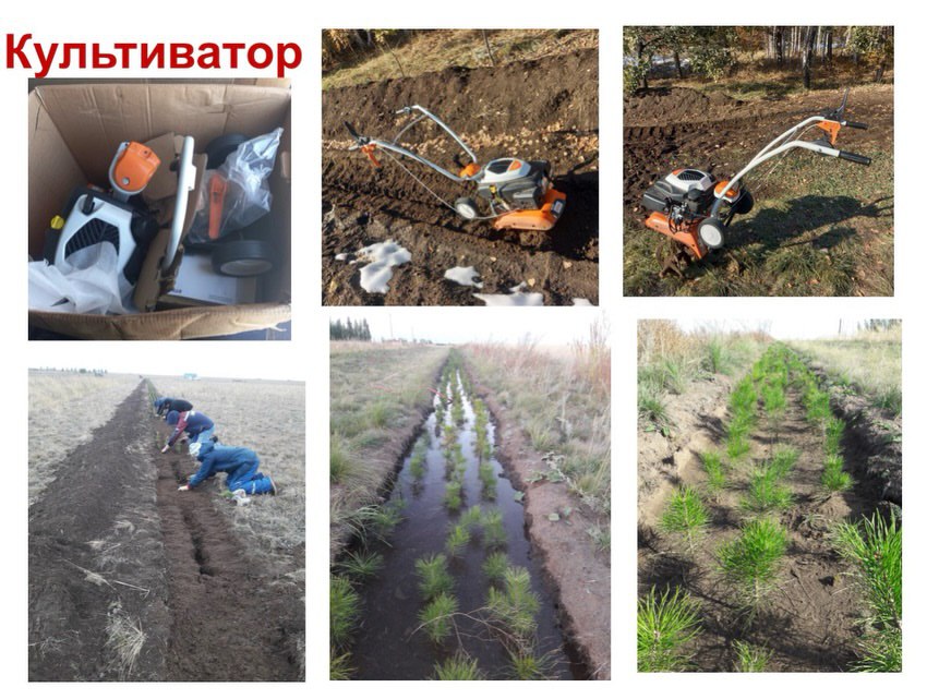 Within the framework of the “Development of Rural Civic Initiatives” project, we continue to highlight grant recipients and the results of their work.