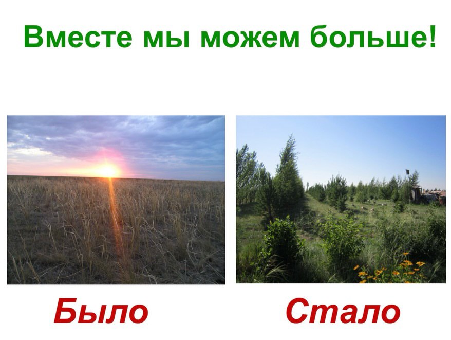 Within the framework of the “Development of Rural Civic Initiatives” project, we continue to highlight grant recipients and the results of their work.