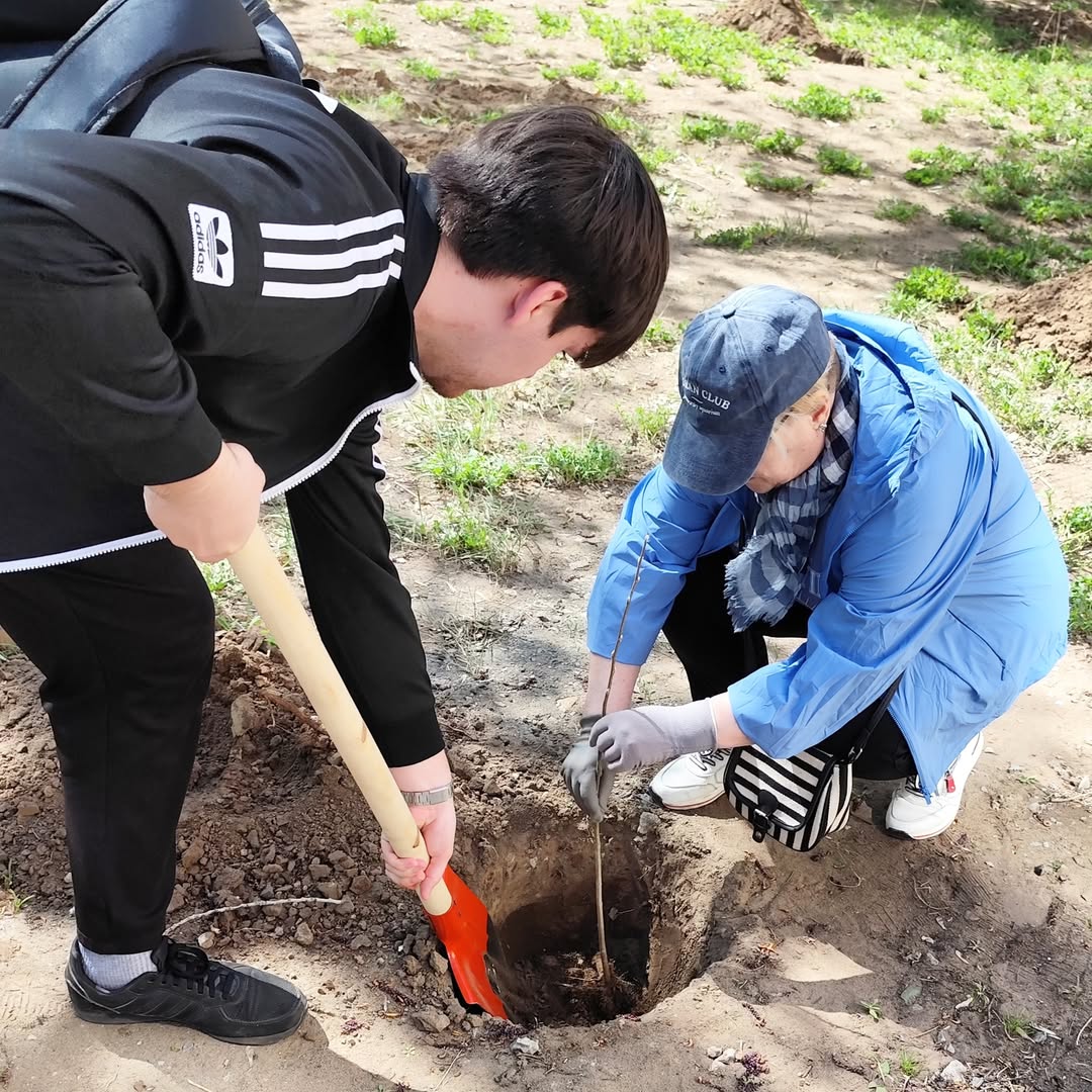On this beautiful sunny day, a tree-planting event was held on the grounds of Secondary School No. 28 named after S. Toraygyrov in Pavlodar.
