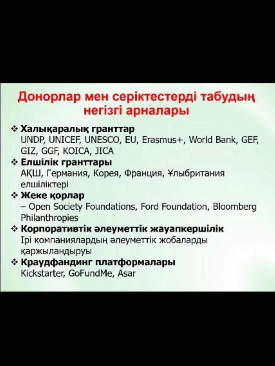Webinar “Borderless Fundraising: Modern Approaches to Finding Donors and Partners” Took Place!